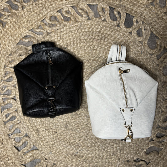 Sling or Backpack